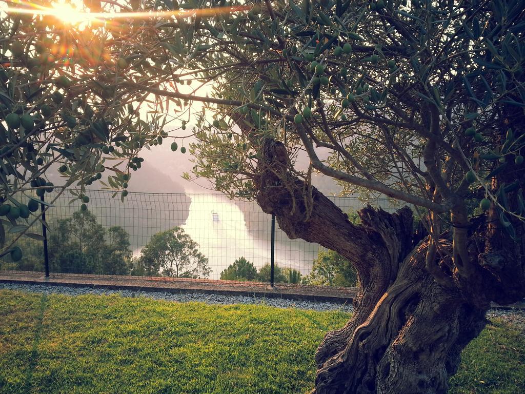 Quinta Das Tilias Douro Valley Cabaca Exteriér fotografie